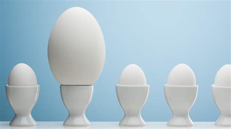 large eggs equal  extra large egg