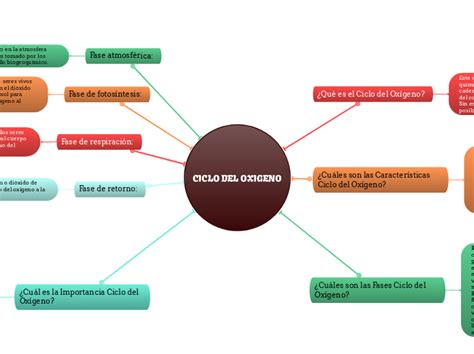 Ciclo Del Oxigeno Mind Map