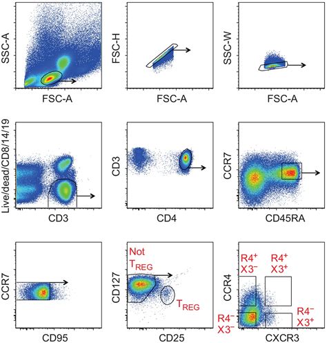 Figures And Data In Functionally Specialized Human Cd T Cell Subsets