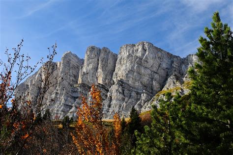 Mountain Cliff Trees Free Photo On Pixabay