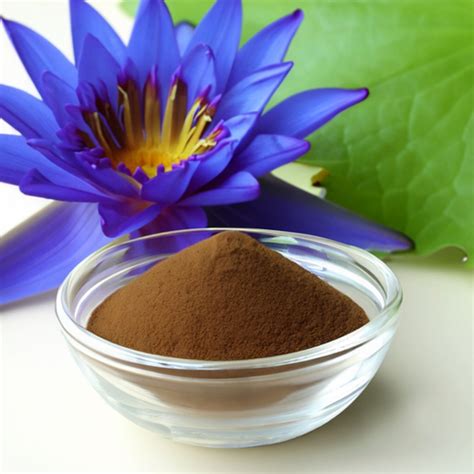 Blue Lotus Extract Entheogenic Emporium