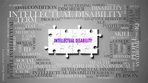 Intellectual Disability As A Complex Subject Related To Important