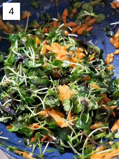 Easy Microgreen Salad With Fresh Ginger Dressing Low Histamine Eats