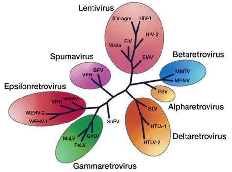 Lentivirus Labster Theory