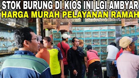 STOK BURUNG DI KIOS INI LGI AMBYAR HARGA MURAH PELAYANAN RAMAH DI PASAR