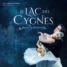 Lac Des Cygnes Ballet Et Orchestre Brest Arena Brest Billets Places