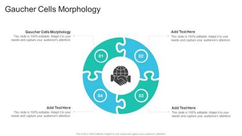 Gaucher Cells Morphology Powerpoint Templates Slides And Graphics