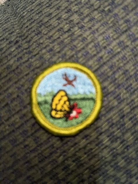 Current Issue Bsa Boy Scouts Nature Merit Badge Patch Ebay