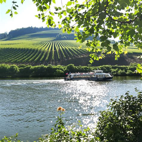 Artikel zu Landschappen auf Das Mosel Magazin