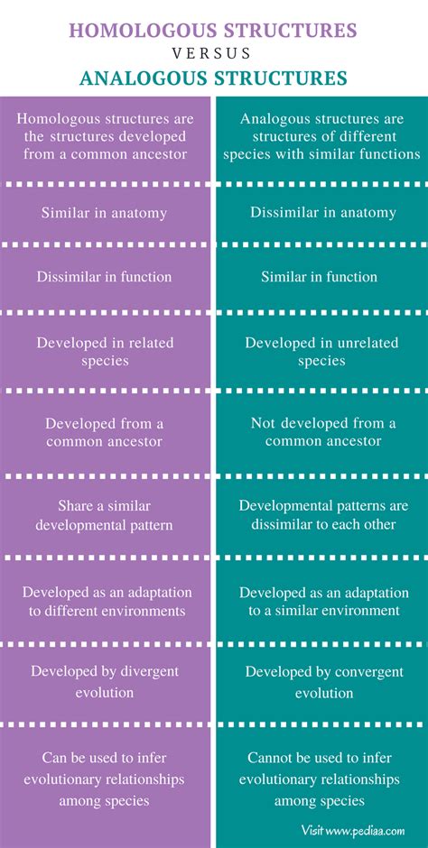 Difference Between Homologous And Analogous Structures Definition