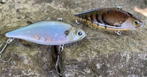 Crankbait Fishing Complete Beginners Guide