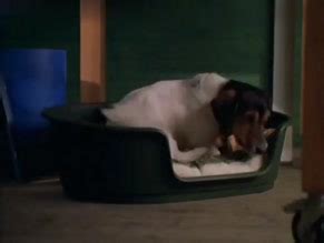 Divorcing Jack Nude Scenes Aznude