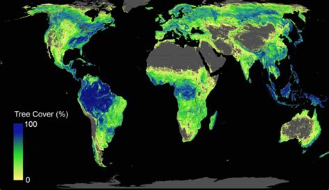 For First Time Ever, Scientists Identify How Many Trees to Plant and ...