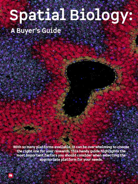 A Guide To Spatial Biology