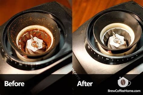 How To Clean Cuisinart Burr Grinder Cleanestor