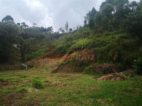 Venta de lote en Guarne Vereda La Clara Ref 2991 Oriente Raíz