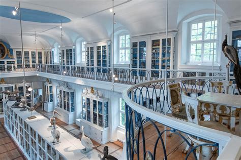 Ausstellungen I Naturkundemuseum Bamberg