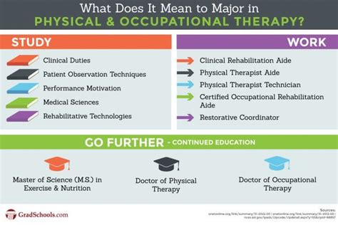 Masters in Occupational Therapy Programs in Illinois 2025+