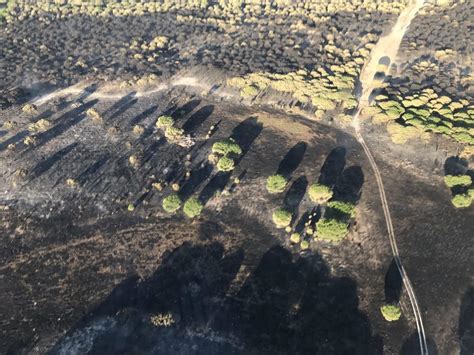 Los Efectos Del Incendio De Doñana En Fotografías Aéreas