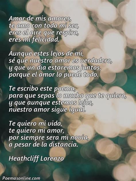 5 Poemas Largos Para Mi Novia A Distancia Poemas Online