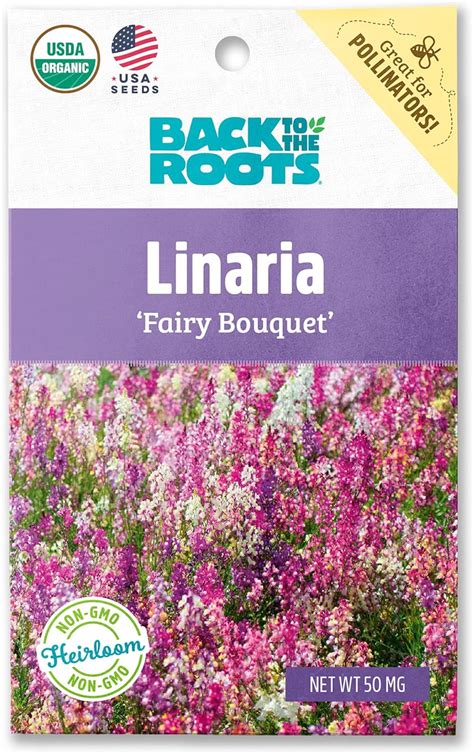 Back To The Roots 100 Organic Seed Packet Linaria