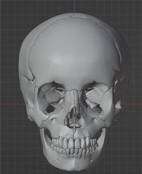 3D Model of Skull Bones 3D model 3D printable | CGTrader