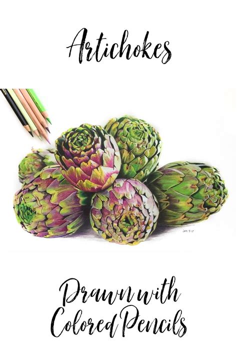 Artichokes Drawn With Colored Pencils How To Get More Detail Into Your Drawings Colored