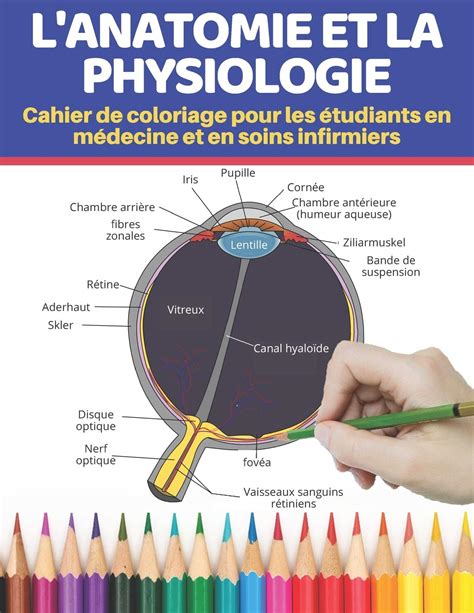 Buy L Anatomie Et La Physiologie Cahier De Coloriage Pour Les Tudiants