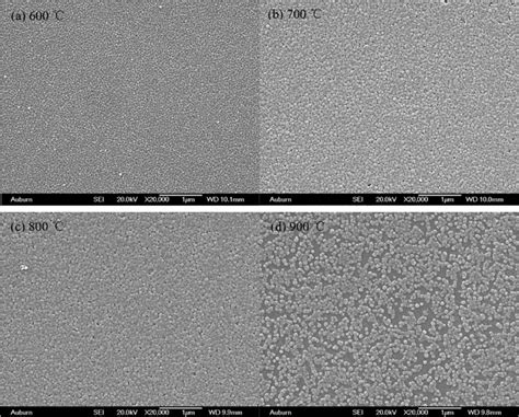 SEM Images Of The Sol Gel Derived ZnO Thin Film Annealed At Different