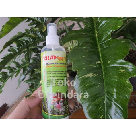 Jual Kilap Daun SPRAY 250 ML Pengkilap Daun Seketika Lebih Efisien