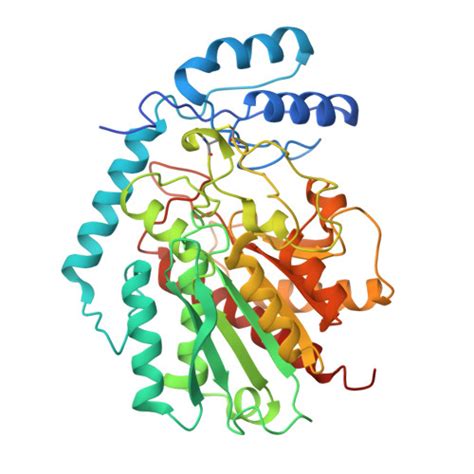 RCSB PDB - 1JQG: Crystal Structure of the Carboxypeptidase A from ...