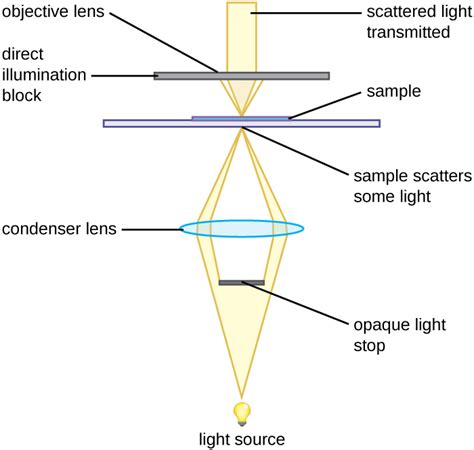 23 Instruments Of Microscopy Biology Libretexts