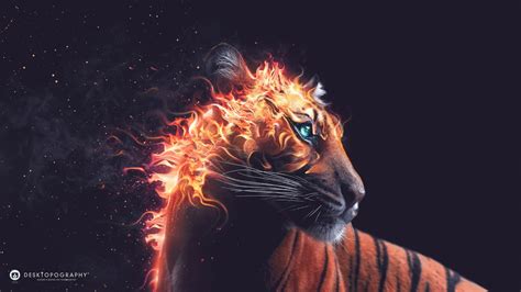 Hintergrundbilder Digitale Kunst Tiere Kunstwerk Tiger Feuer