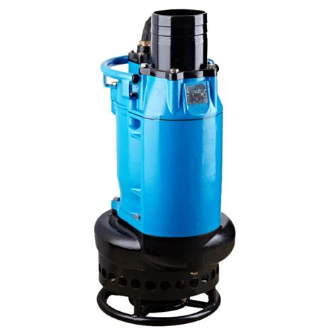 Submersible Dewatering Pumps Raptech