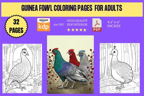 Guinea Fowl Coloring Pages for Adults Gráfico por KDP INTERIORS MARKET