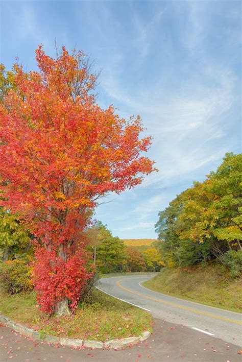 Fall Colors, Skyline Drive, Shenandoah National Park, VA Stock Image ...