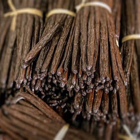 Madagascar Vanilla Beans Earth Trade Handels GmbH