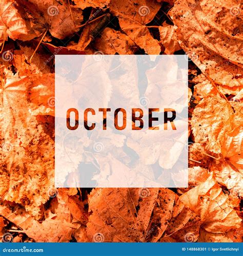 October, Greeting Text on Colorful Fall Leaves Background. Word October ...