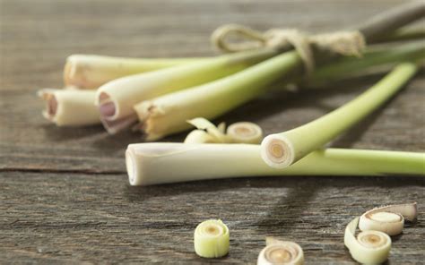 What Is Lemongrass And How Do You Use It One Green Planet