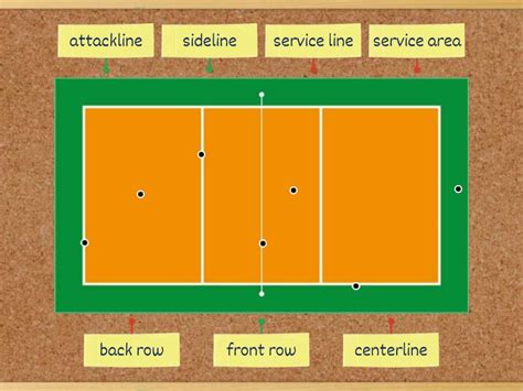 Volleyball Court Dimension Diagrama Con Etiquetas