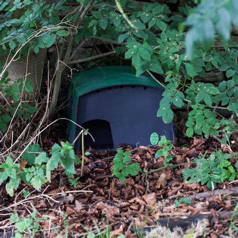 Eco Hedgehog Nest Box | The Nestbox Company