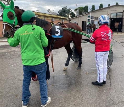 Jesi Prima Storica Partecipazione Al Palio Dei Comuni Ha Vinto