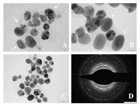 TEM Images Of AgNPs In A 20nm B 20 Nm C 50 Nm Scale D SAED