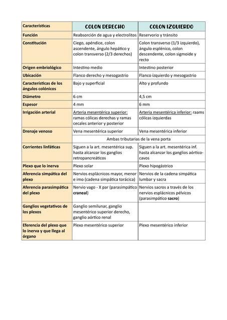 Colon Izquierdo Y Derecho Cuadro Comparativo Medgram Unr Udocz