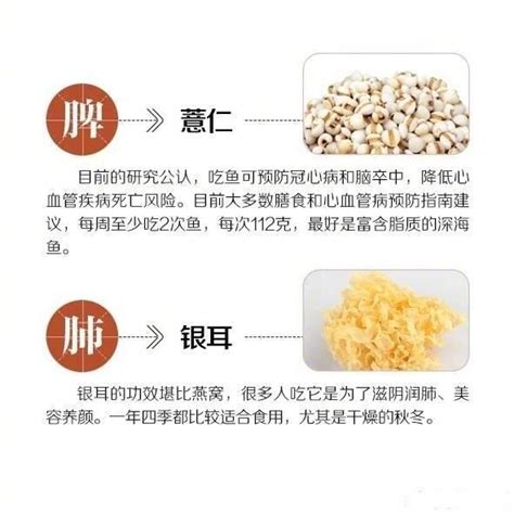 身體各器官最愛的食譜全在這兒了，一種食物補一個器官，對著吃吧 每日頭條