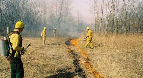 Prescribed Burning