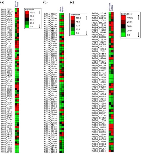 Heat Map Representation Of The Gene Expression Status Of The Glucose