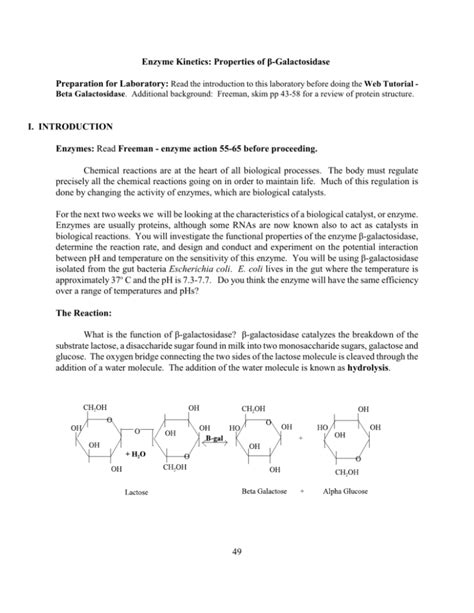 Enzyme Kinetics Properties Of Beta Galactosidase