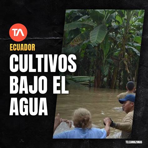 Teleamazonas On Twitter Cultivos Bajo El Agua Peque Os Agricultores