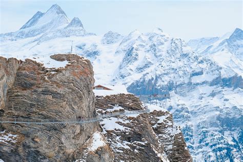 Grindelwald First qué ver y hacer en la cima más emblemática de los